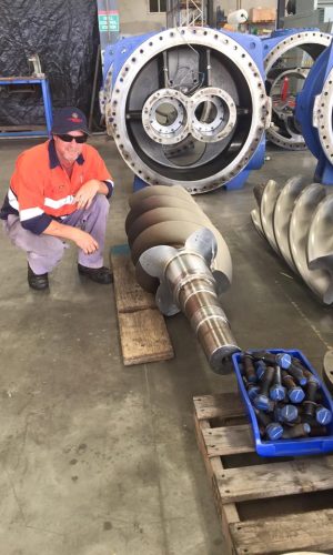 12806032_1169501203079783_7588833767372920860_n